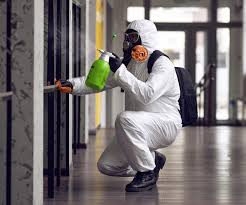 Best Emergency Mold Remediation  in Quincy, IL