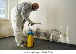 Best Mold Damage Restoration  in Quincy, IL